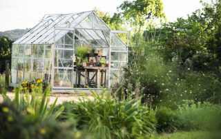 Garden therapy : qu'est-ce que c'est et quels sont les avantages ?